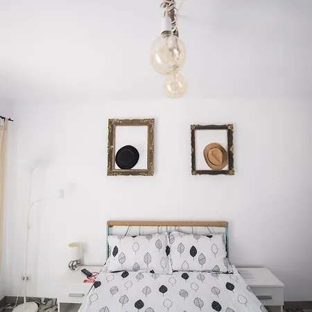 Gazde/Camere de închiriat Casa Arca