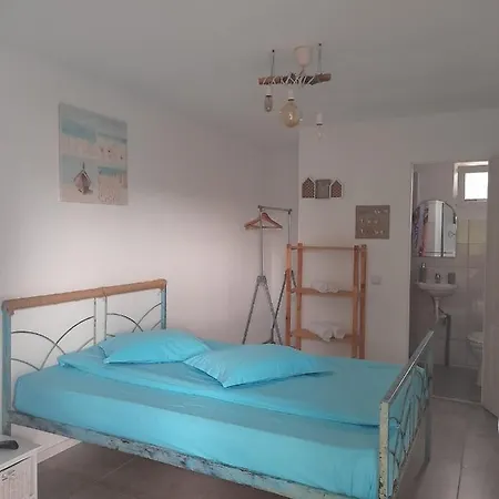 Gazde/Camere de închiriat Casa Arca