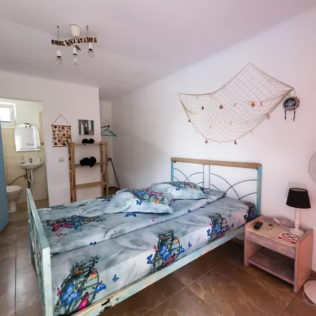 Gazde/Camere de închiriat Casa Arca Vama Veche